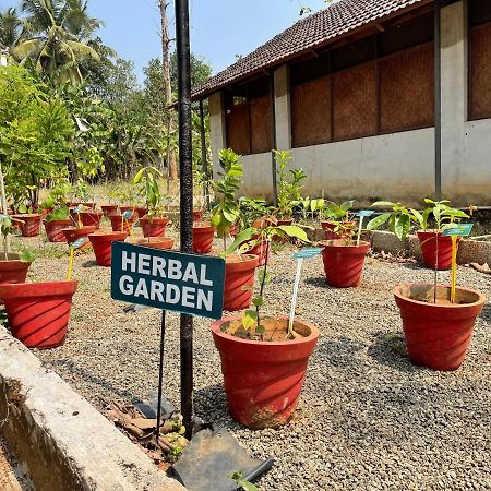 Ayuryogashram Heritage Thrissur Zewnętrze zdjęcie