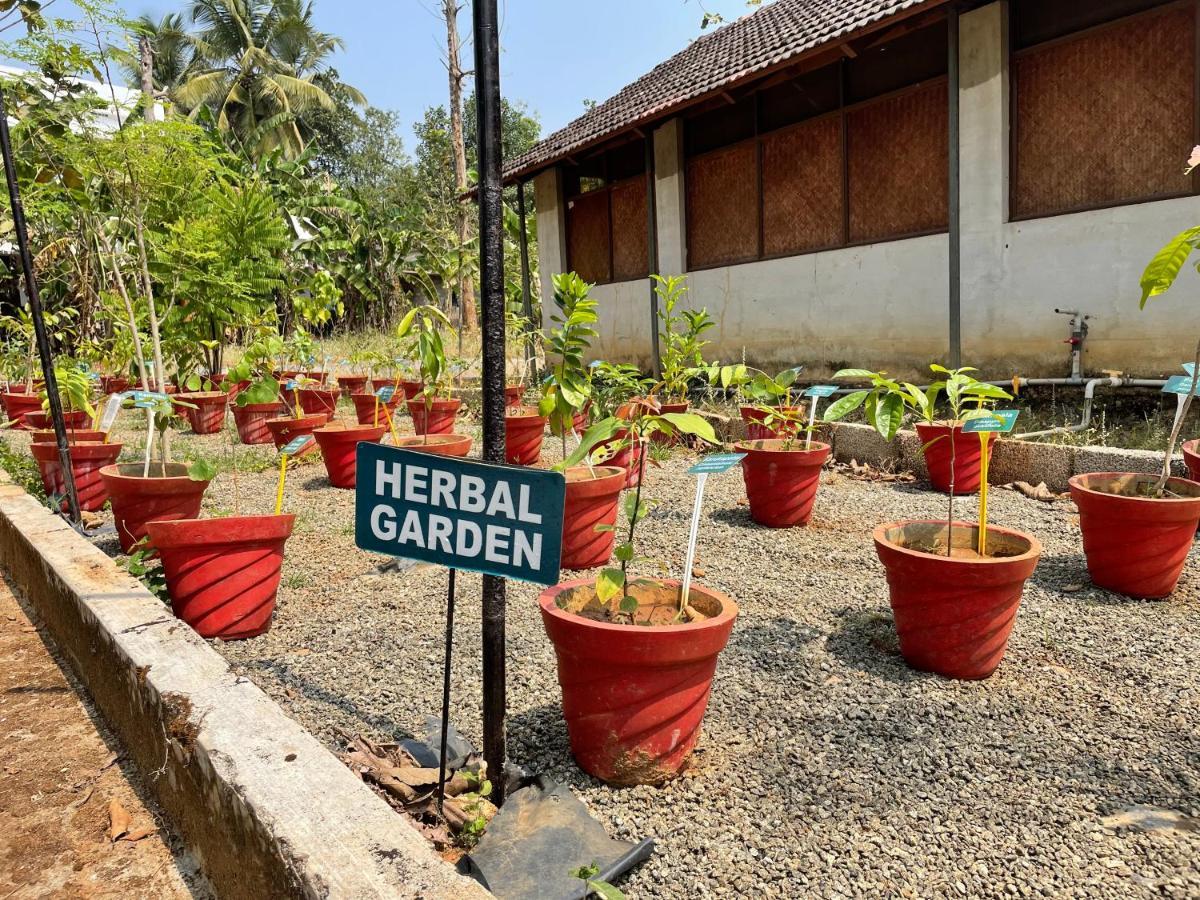 Ayuryogashram Heritage Thrissur Zewnętrze zdjęcie