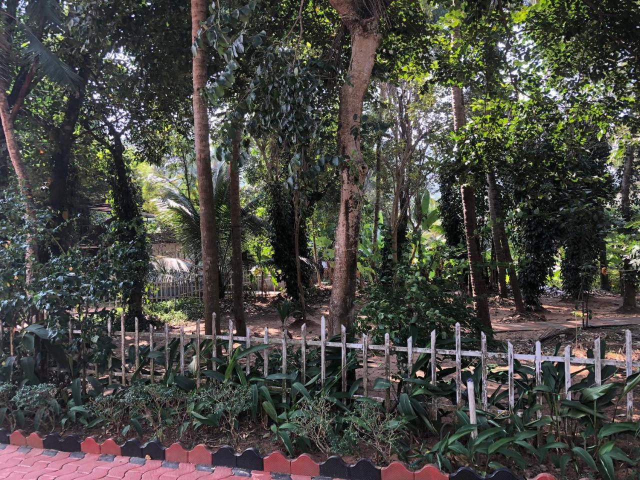 Ayuryogashram Heritage Thrissur Zewnętrze zdjęcie
